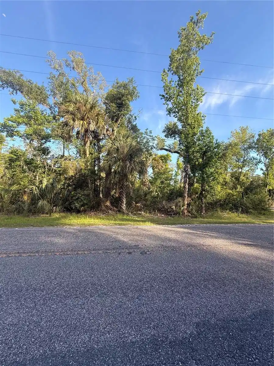 Image 1 Image 1