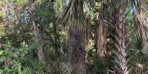Image 4 Image 4