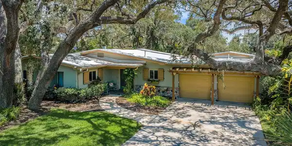 313 PALMETTO LANE