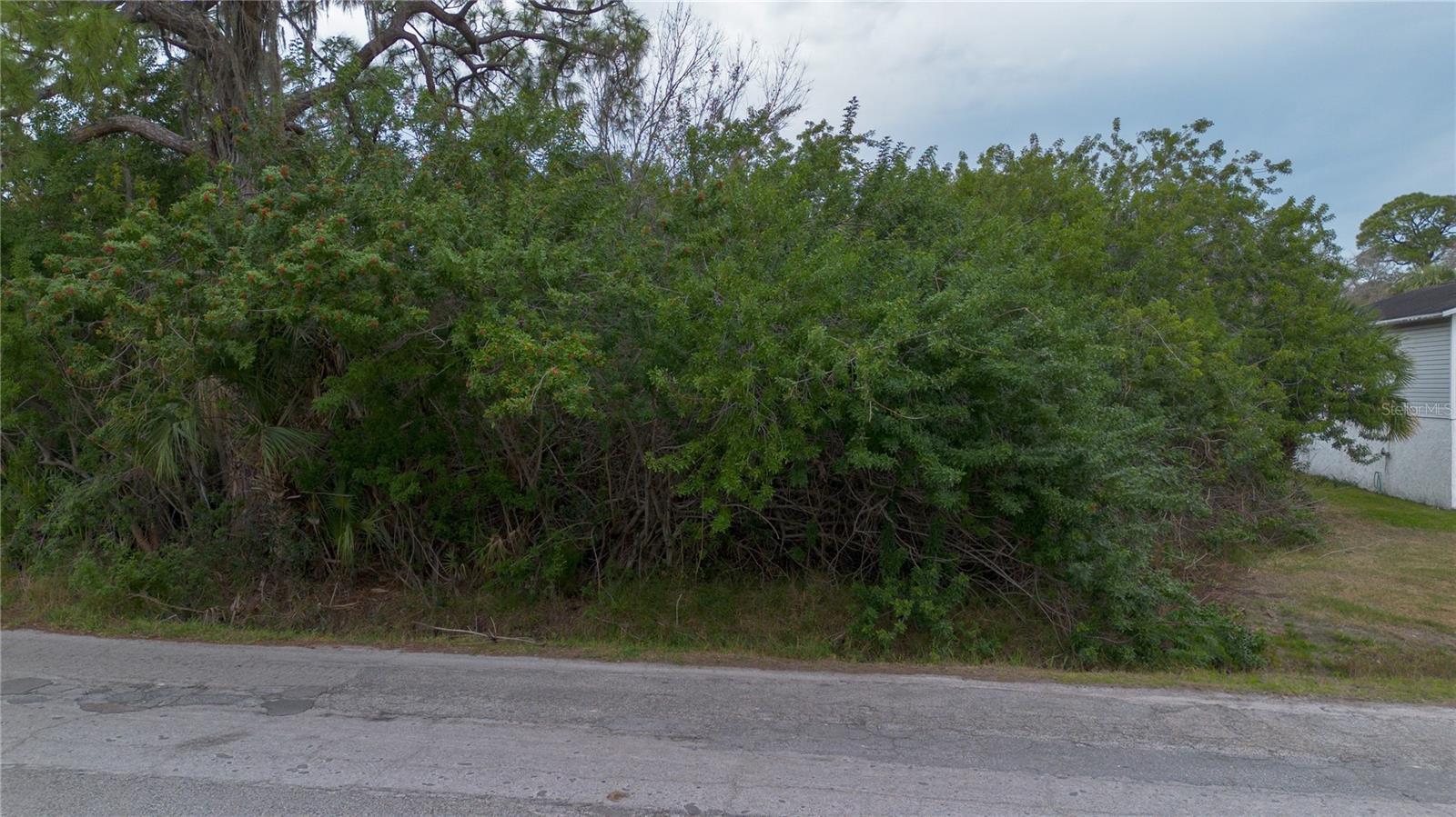 Image 4 Image 4