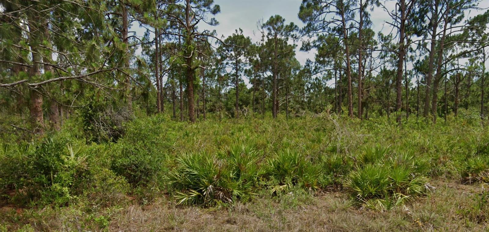 Image 1 Image 1