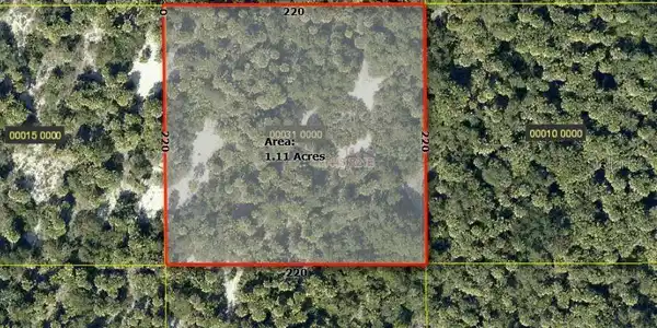 Image 3 Image 3
