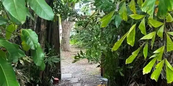 Image 3 Image 3