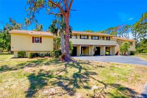 4260 PLACIDA
