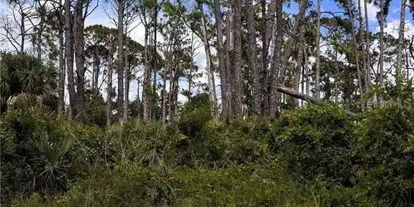 Image 4 Image 4