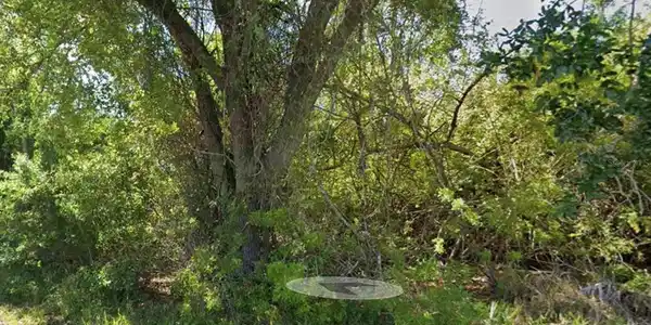 Image 3 Image 3