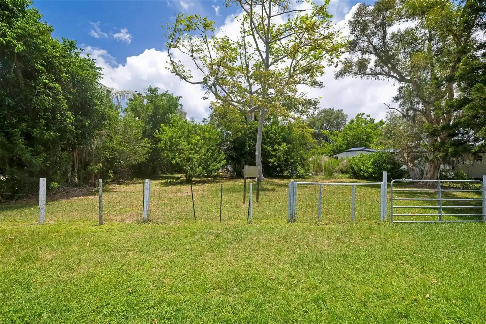 Image 1 Image 1