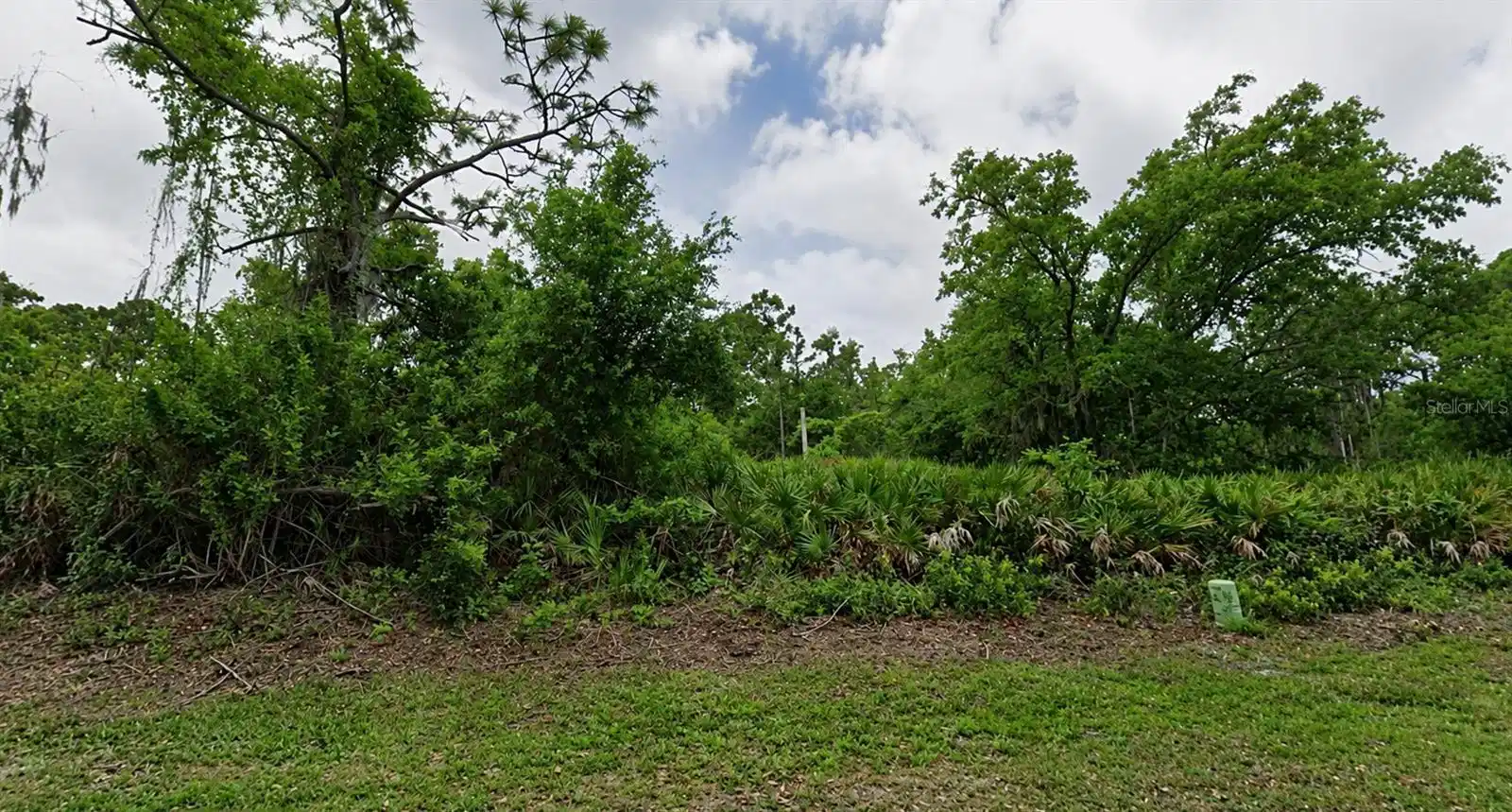 Image 1 Image 1