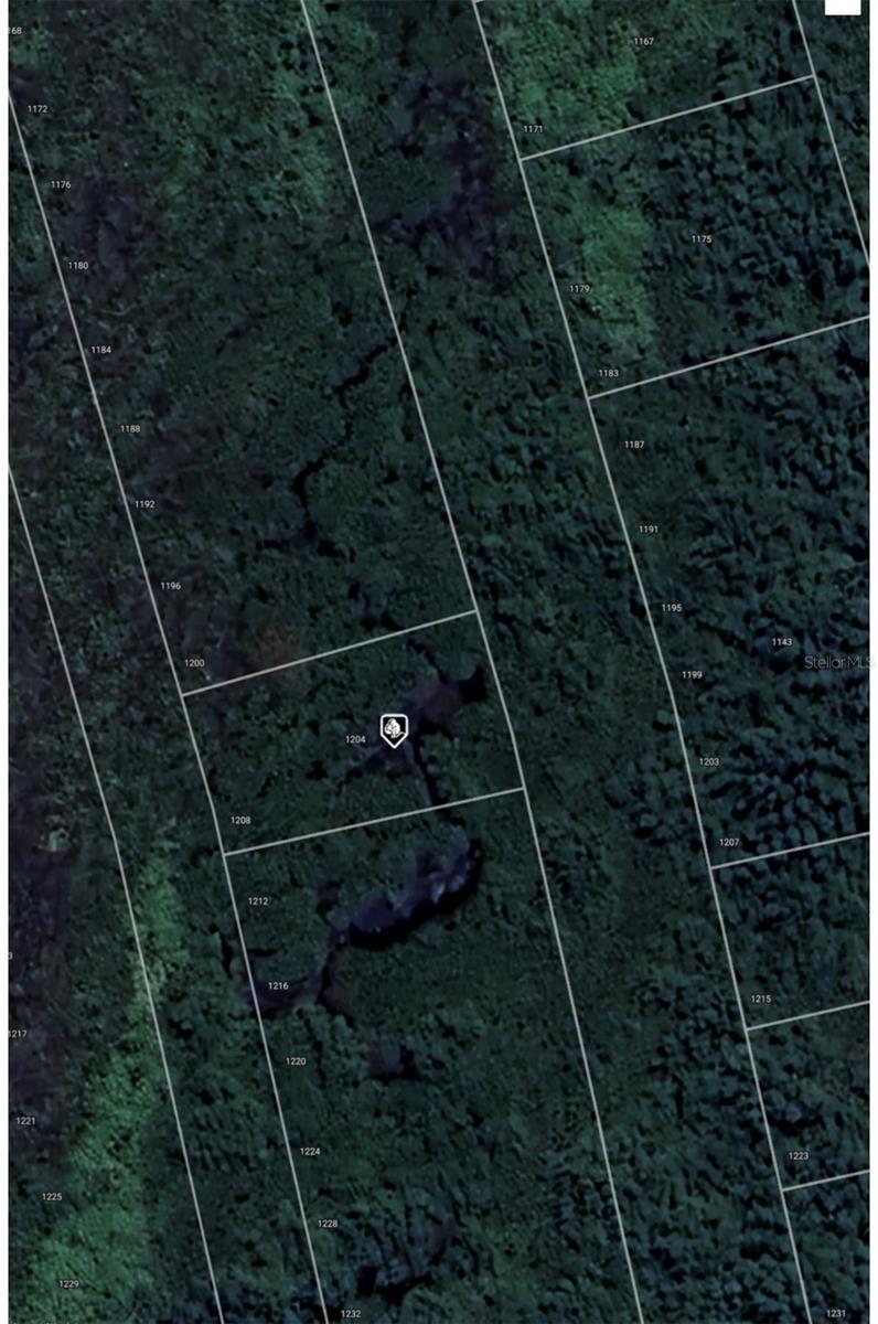 Image 4 Image 4