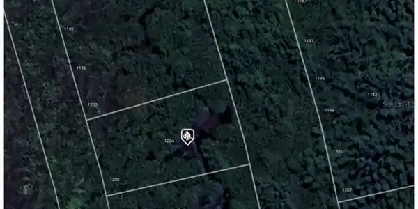 Image 4 Image 4
