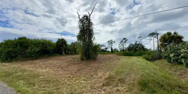 Image 4 Image 4