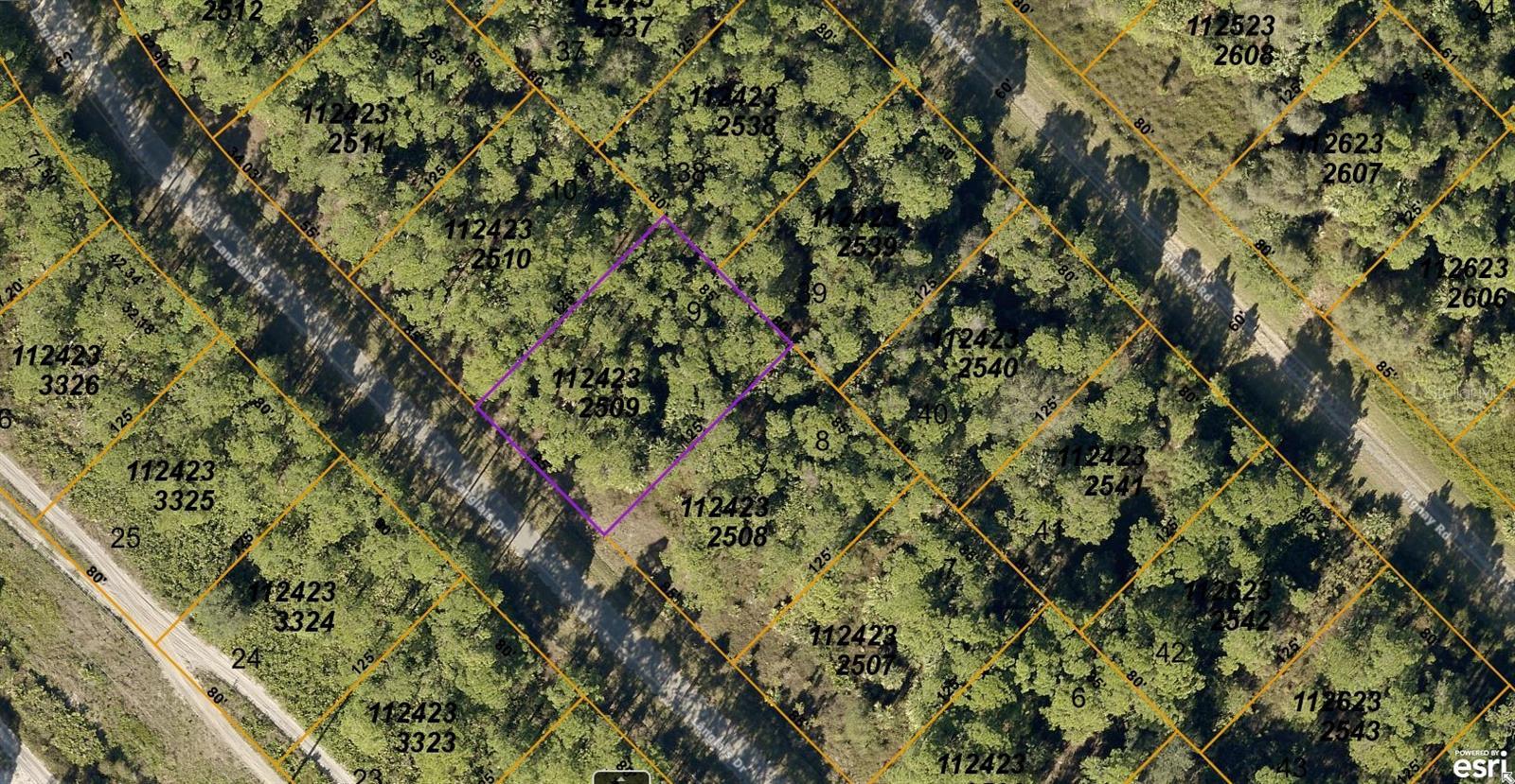 Image 1 Image 1