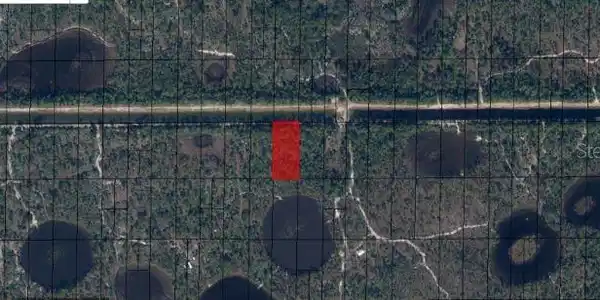 Image 4 Image 4