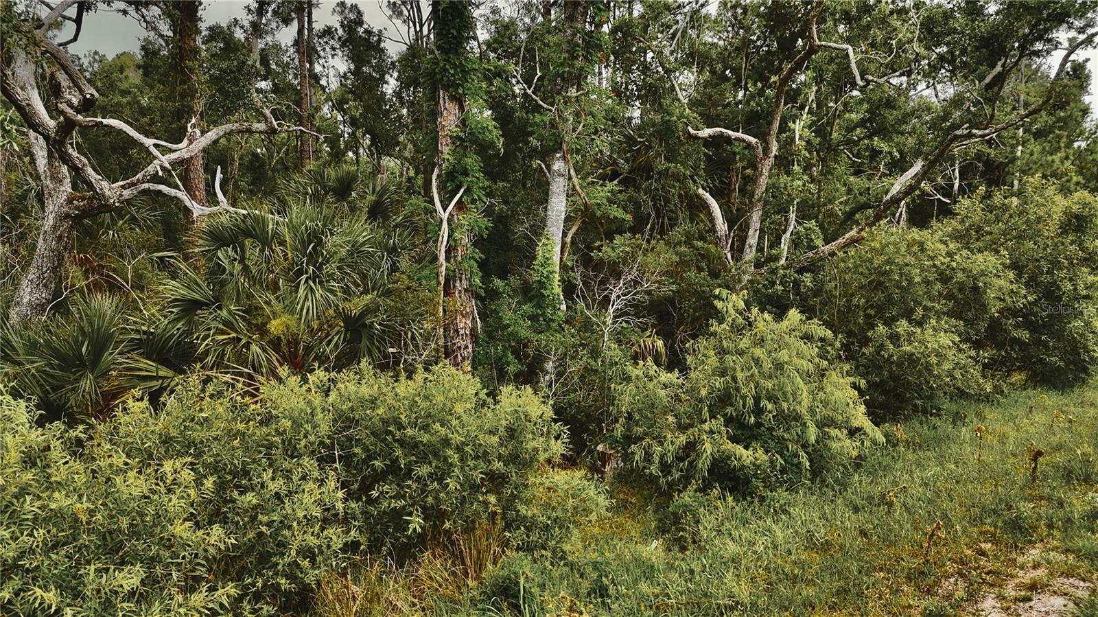 Image 3 Image 3