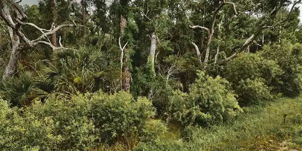 Image 3 Image 3