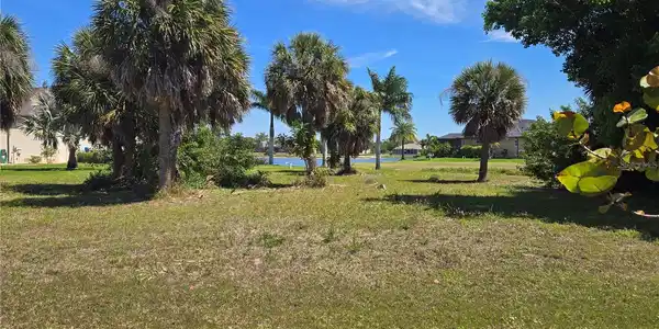 Image 4 Image 4
