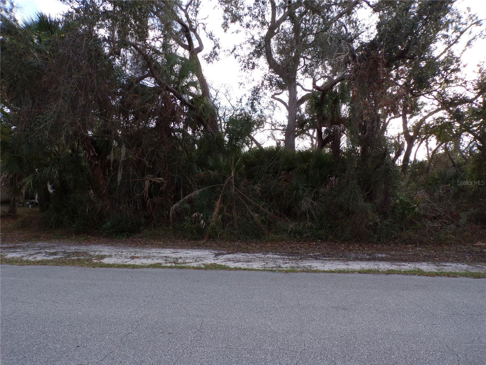 Image 1 Image 1