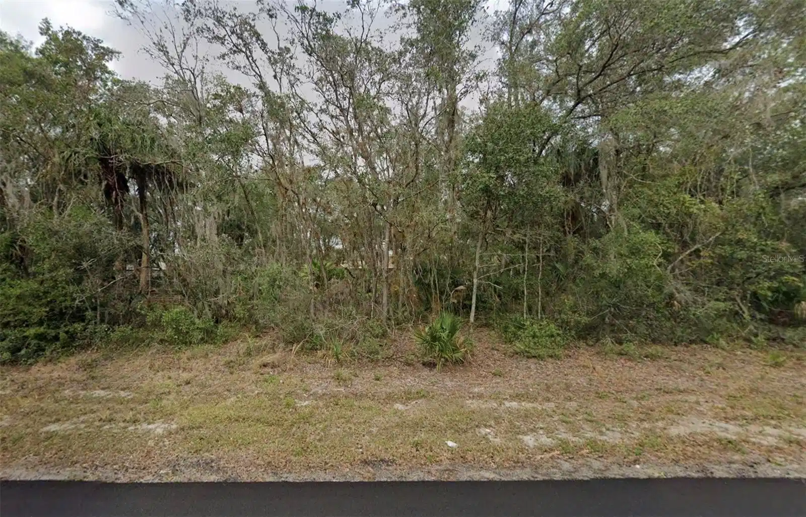 Image 1 Image 1