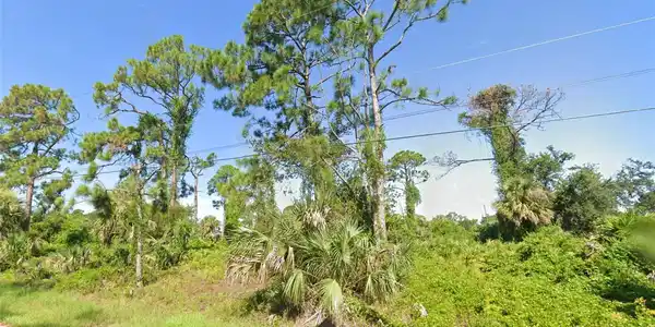 Image 3 Image 3