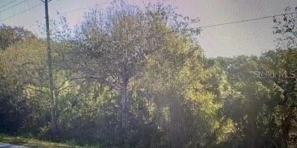 S 41 HWY