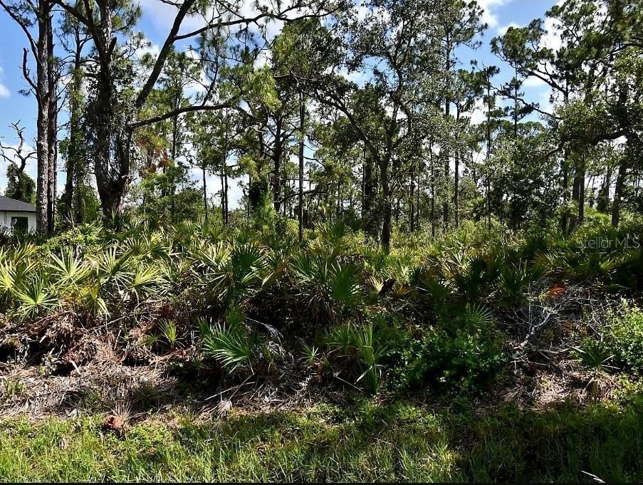Image 1 Image 1