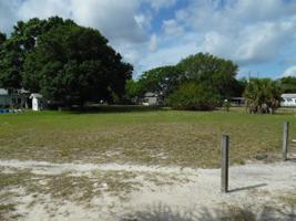 0 LIVE OAK