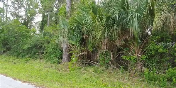 VICTORY PALM