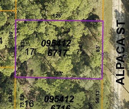 Image 1 Image 1
