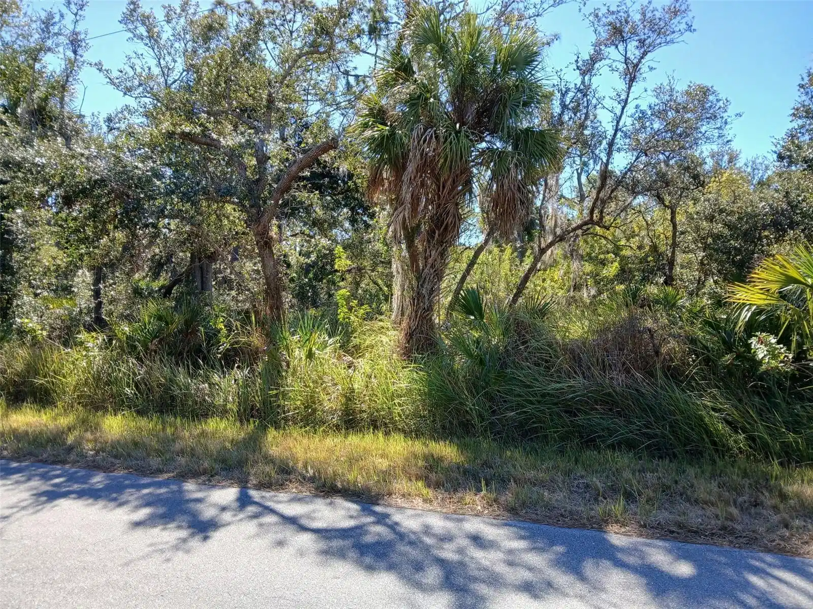 Image 1 Image 1
