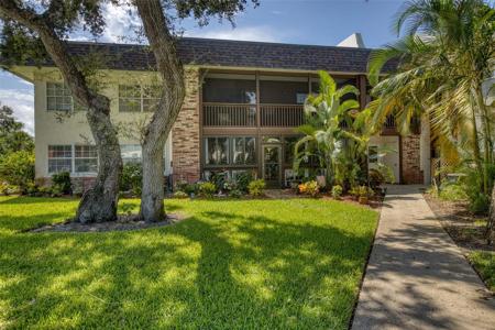 3800 SAXON DRIVE