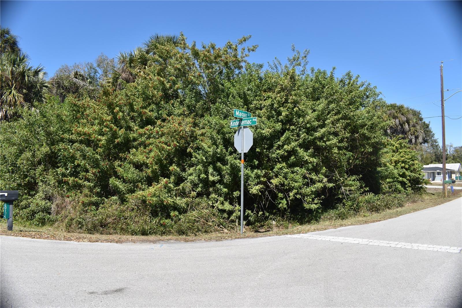 Image 1 Image 1