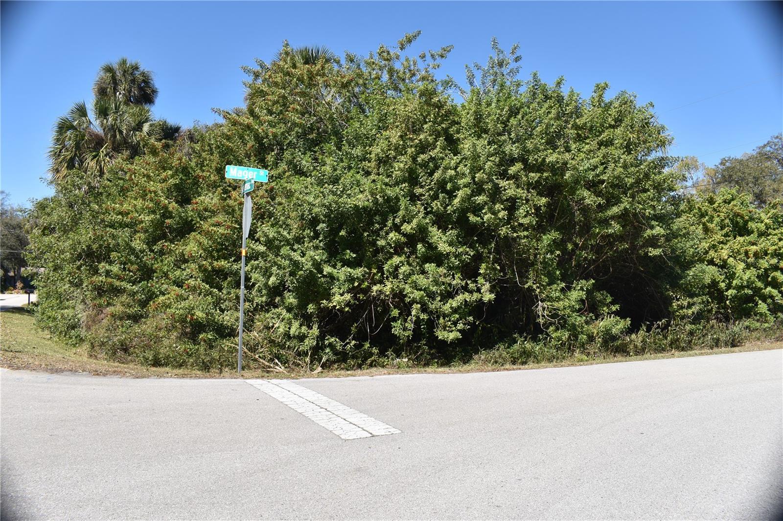 Image 4 Image 4
