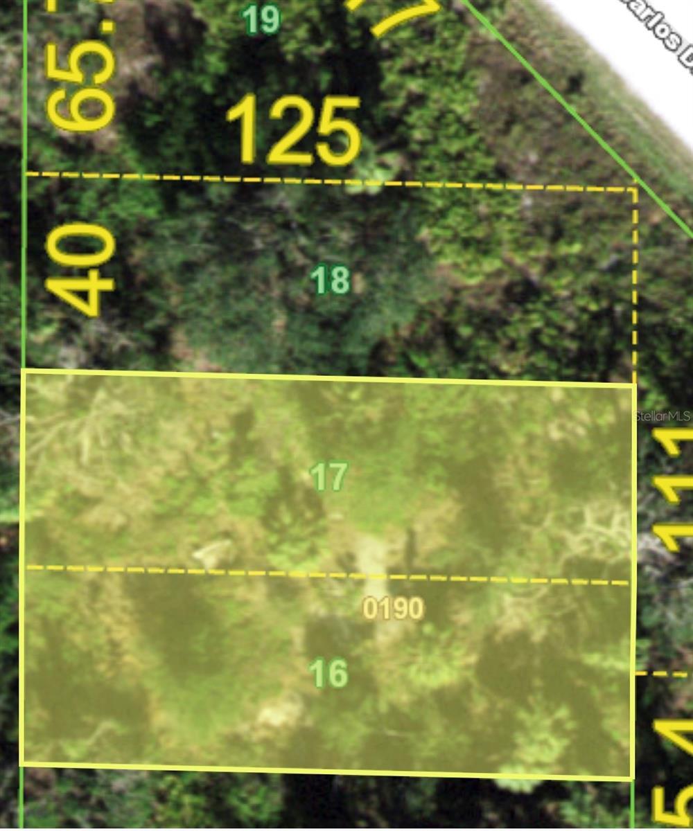 Image 3 Image 3