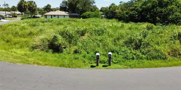 Image 4 Image 4