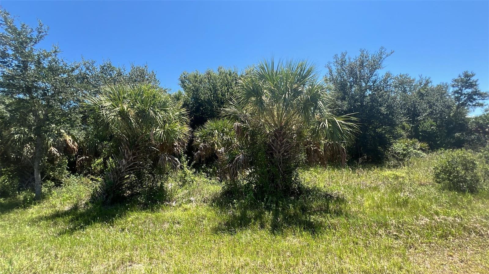 Image 1 Image 1