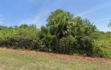 13879 BEGONIA CIRCLE