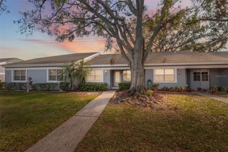 158 BRIGTON COURT