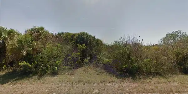 Image 4 Image 4