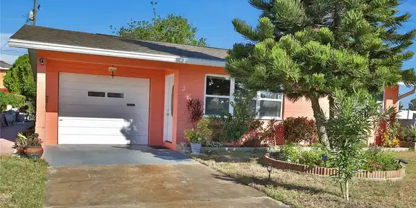 47 CAMELLIA