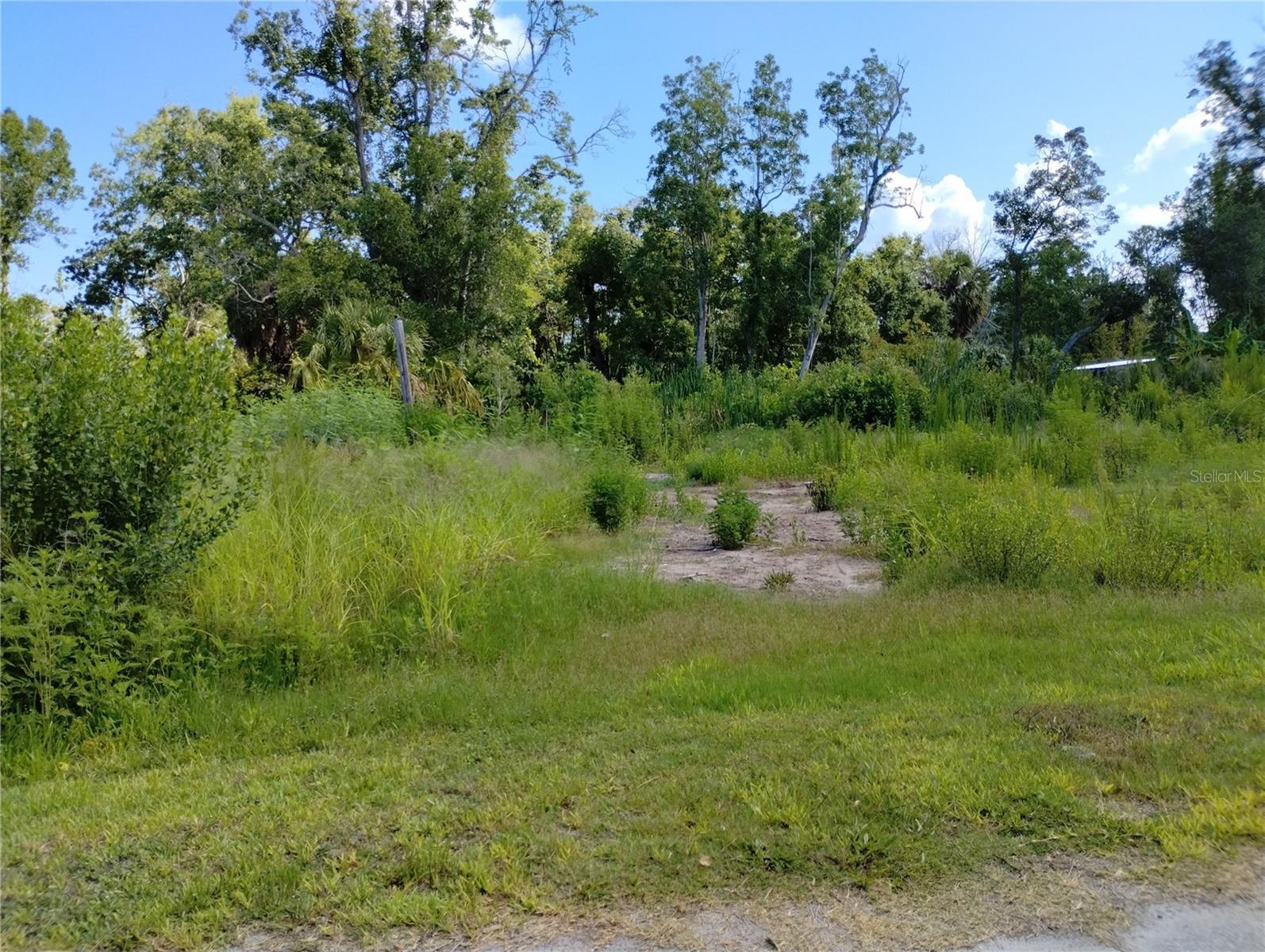 Image 1 Image 1
