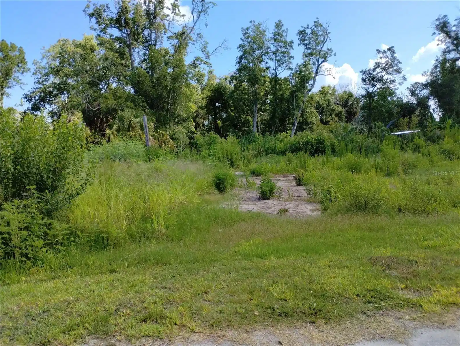 Image 1 Image 1