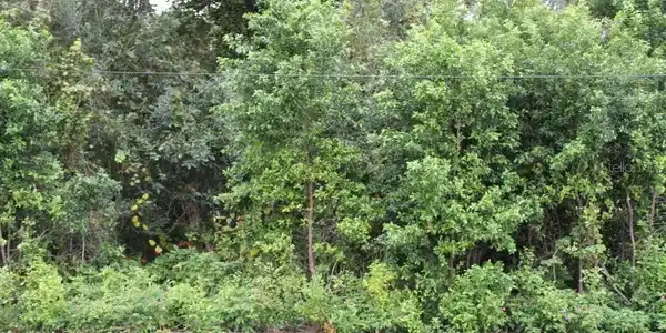 Image 2 Image 2