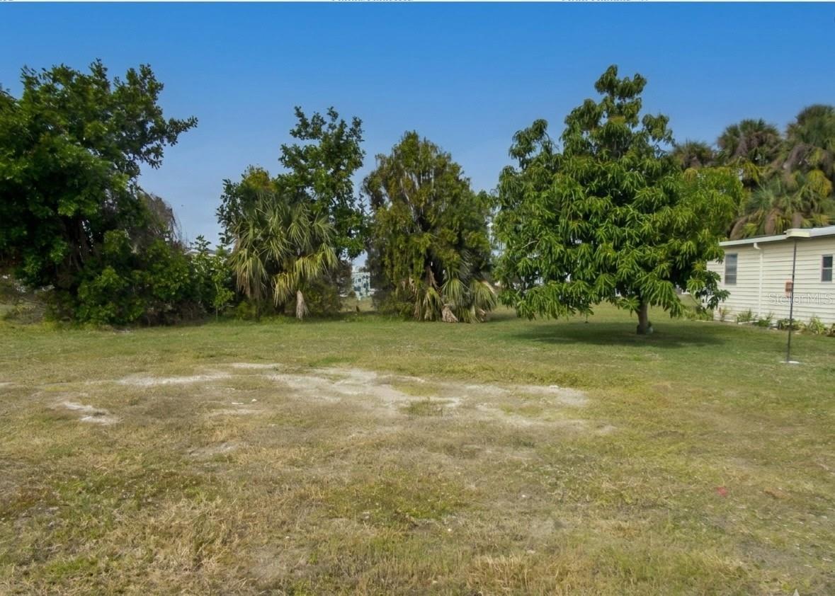Image 1 Image 1