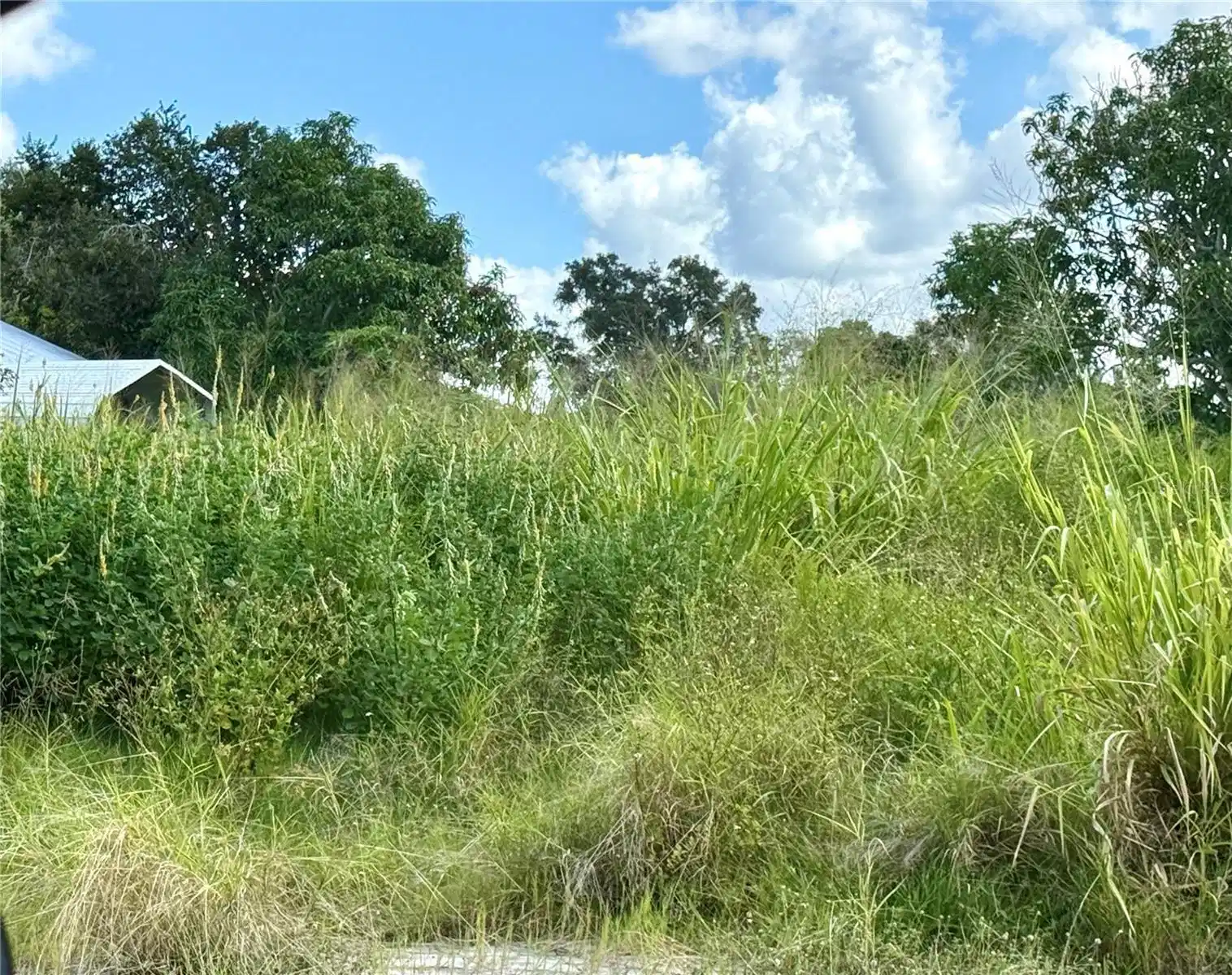 Image 1 Image 1