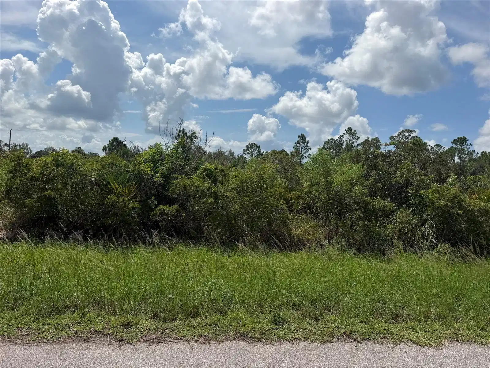Image 1 Image 1