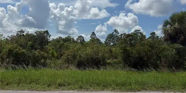 Image 3 Image 3