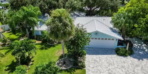 904 SPINDLE PALM