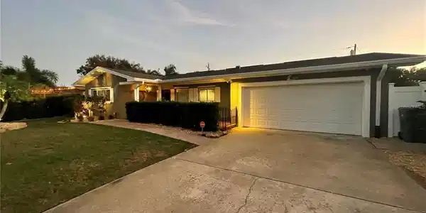 3774 AVOCADO