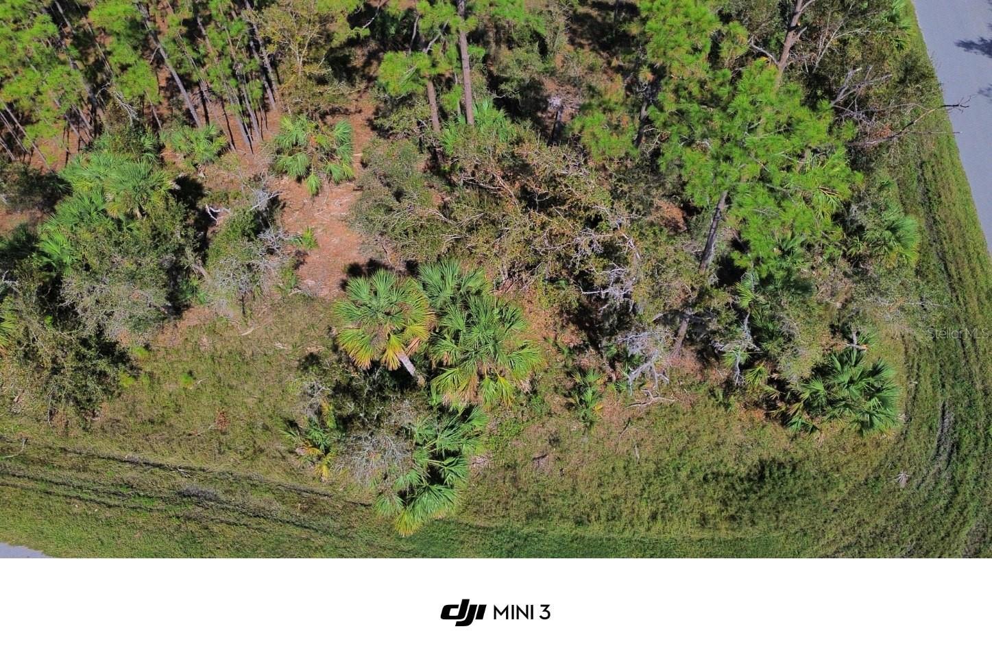 Image 1 Image 1
