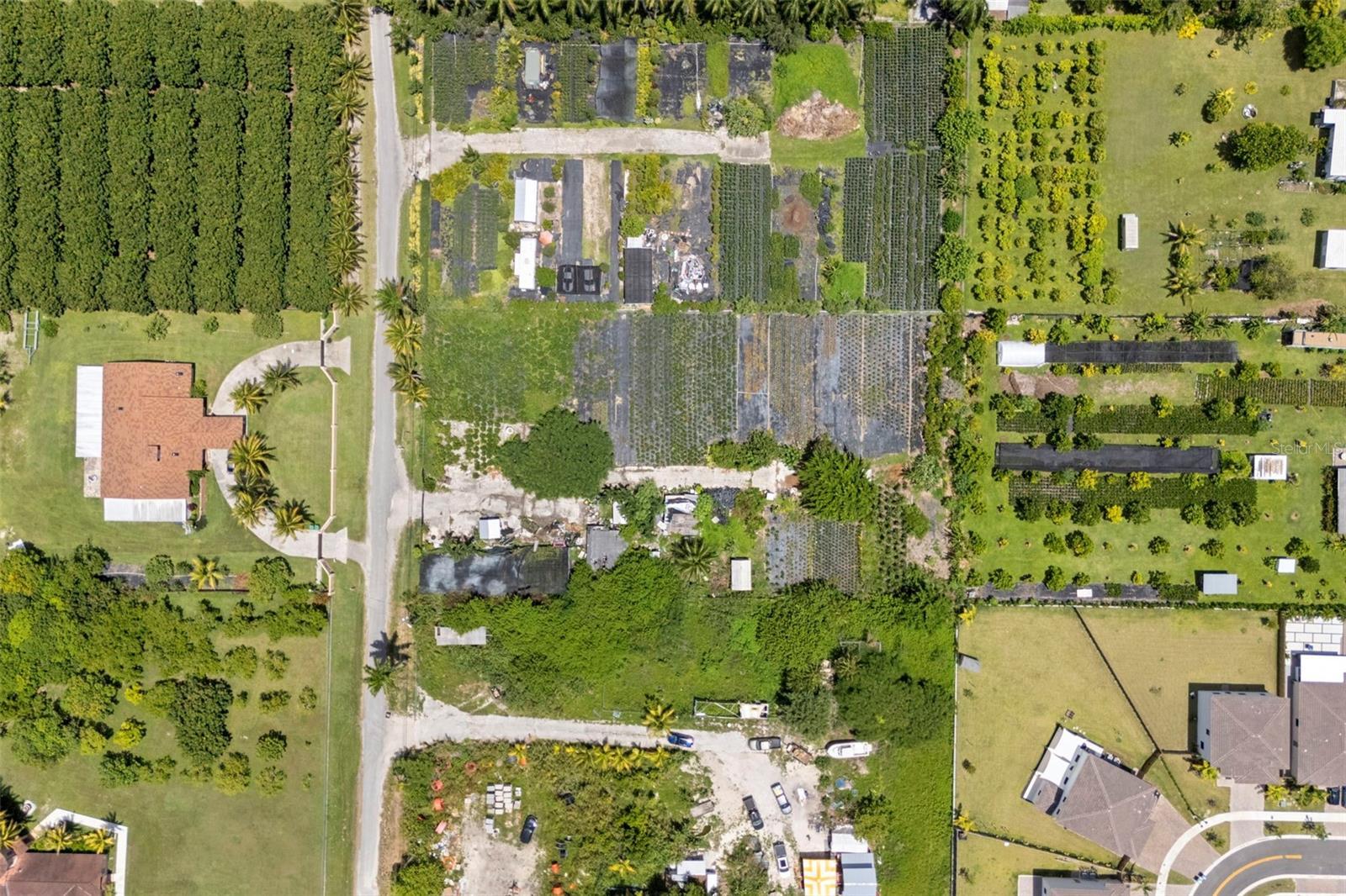Image 2 Image 2